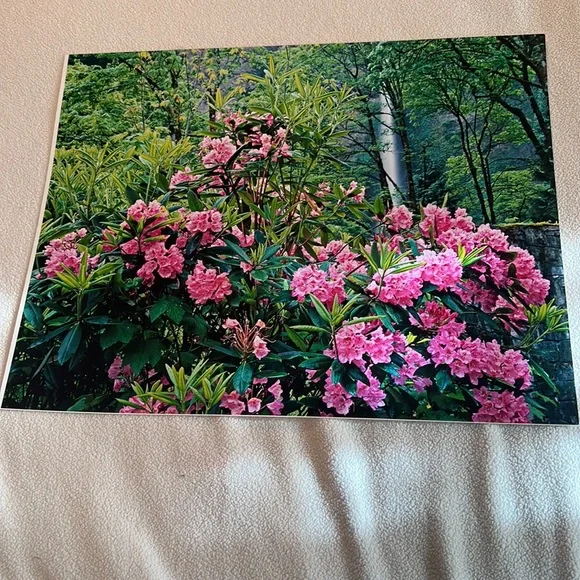 Floral Print - Picture 4 of 7